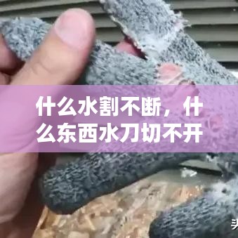 什么水割不断，什么东西水刀切不开 
