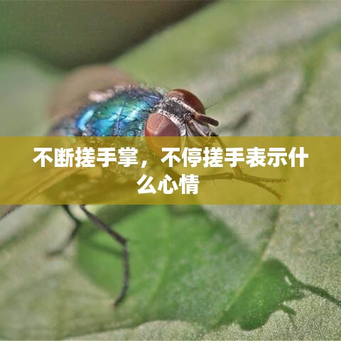 不断搓手掌，不停搓手表示什么心情 