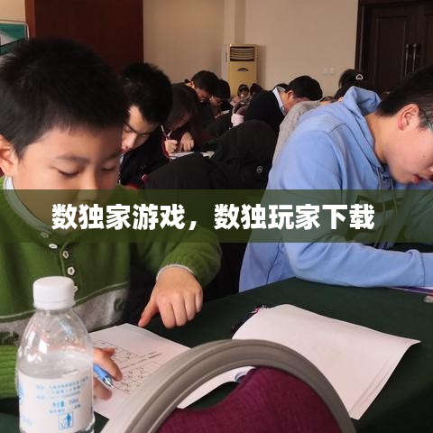 数独家游戏，数独玩家下载 