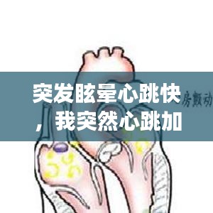 突发眩晕心跳快，我突然心跳加快有点眩晕能持续几秒钟这是什么原因 