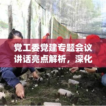 党工委党建专题会议讲话亮点解析，深化党建引领，共谋发展新篇章
