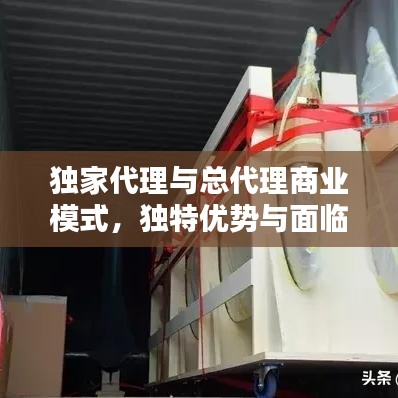 独家代理与总代理商业模式，独特优势与面临的挑战