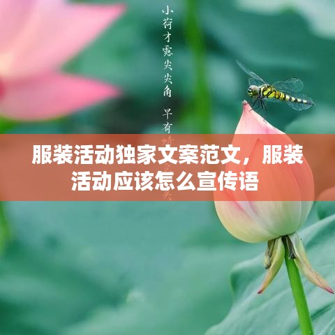 服装活动独家文案范文，服装活动应该怎么宣传语 