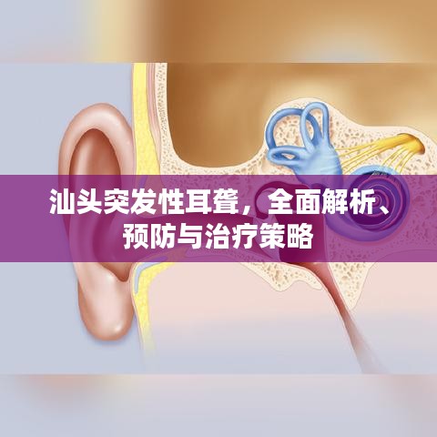 汕头突发性耳聋，全面解析、预防与治疗策略