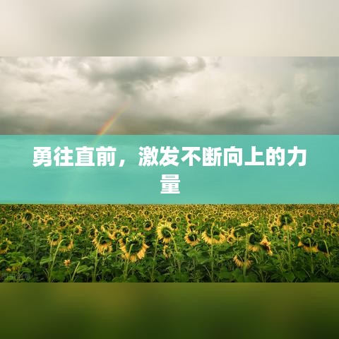勇往直前，激发不断向上的力量