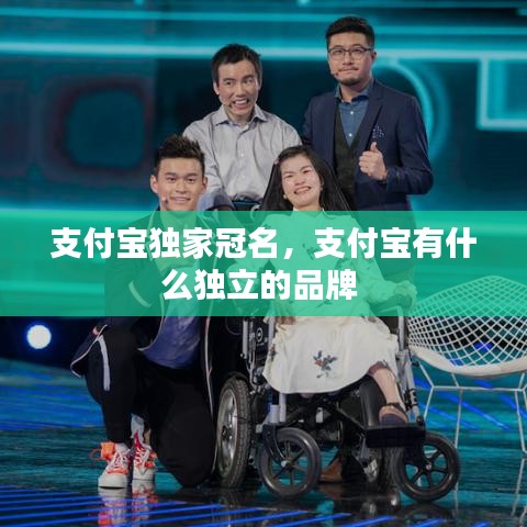 支付宝独家冠名，支付宝有什么独立的品牌 