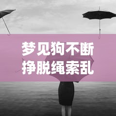 梦见狗不断挣脱绳索乱跑，做梦梦到狗挣开了绳子 