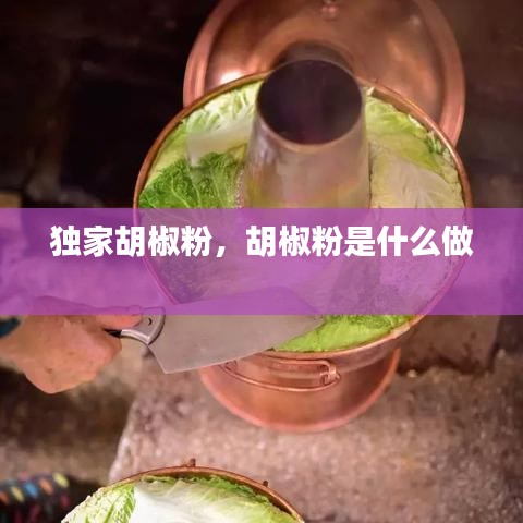 独家胡椒粉，胡椒粉是什么做 