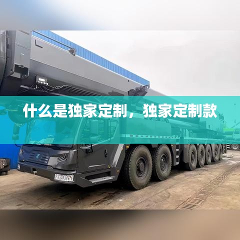 什么是独家定制，独家定制款 