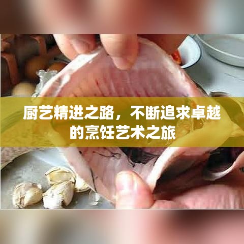 厨艺精进之路，不断追求卓越的烹饪艺术之旅
