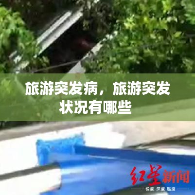 旅游突发病，旅游突发状况有哪些 