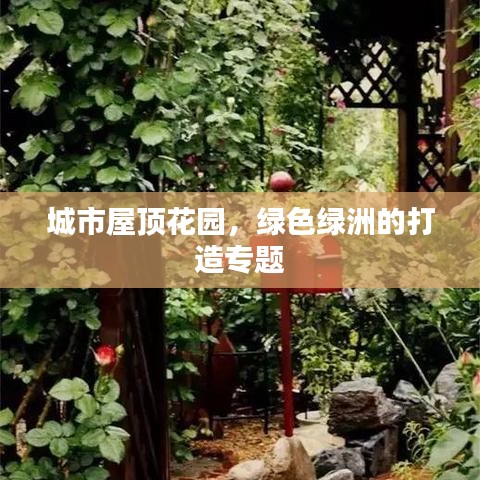 城市屋顶花园，绿色绿洲的打造专题
