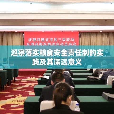 巡察落实粮食安全责任制的实践及其深远意义