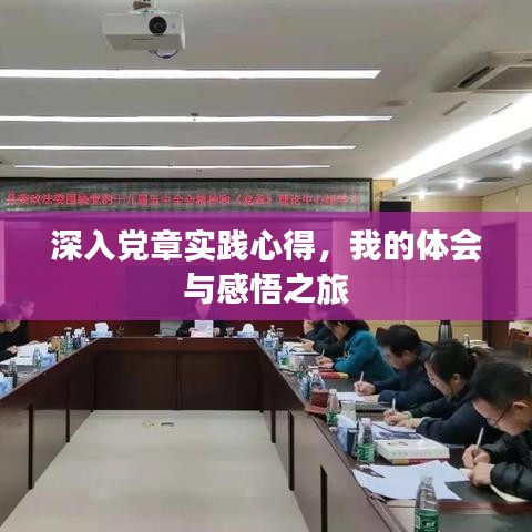 深入党章实践心得，我的体会与感悟之旅