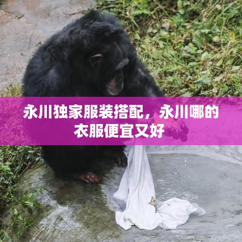 永川独家服装搭配，永川哪的衣服便宜又好 