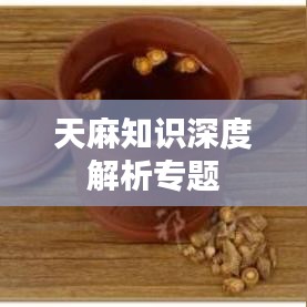 天麻知识深度解析专题