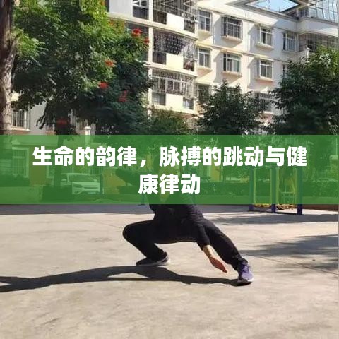 生命的韵律，脉搏的跳动与健康律动