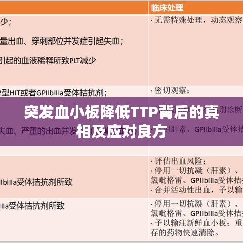 突发血小板降低TTP背后的真相及应对良方