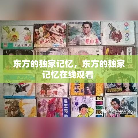 东方的独家记忆，东方的独家记忆在线观看 