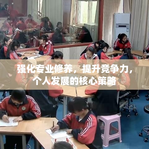 强化专业修养，提升竞争力，个人发展的核心策略