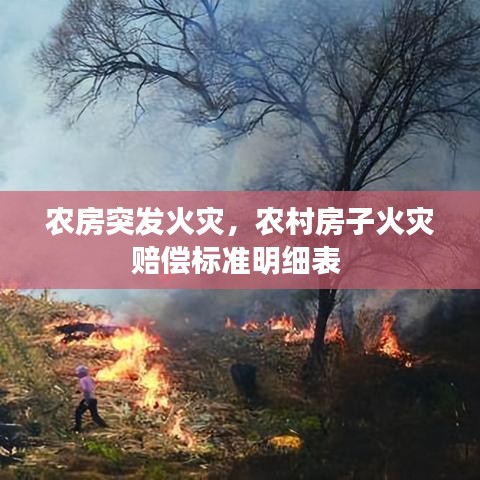 农房突发火灾，农村房子火灾赔偿标准明细表 