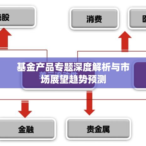 基金产品专题深度解析与市场展望趋势预测