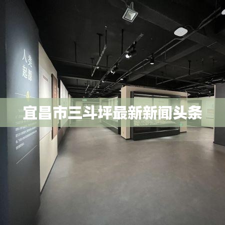 宜昌市三斗坪最新新闻头条