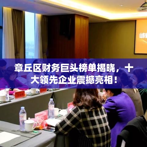 章丘区财务巨头榜单揭晓，十大领先企业震撼亮相！