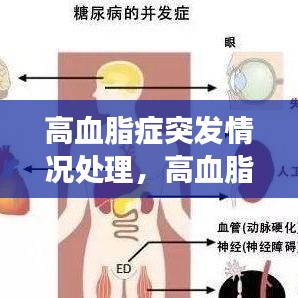 高血脂症突发情况处理，高血脂最常见的并发症是 