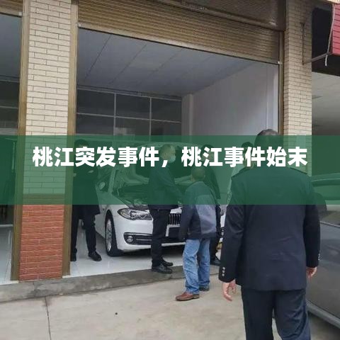 桃江突发事件，桃江事件始末 