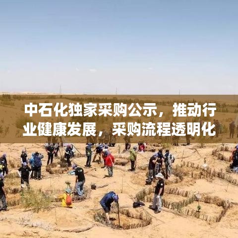 中石化独家采购公示，推动行业健康发展，采购流程透明化