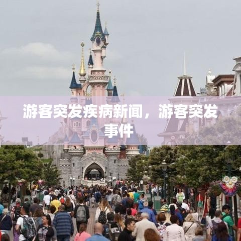 游客突发疾病新闻，游客突发事件 