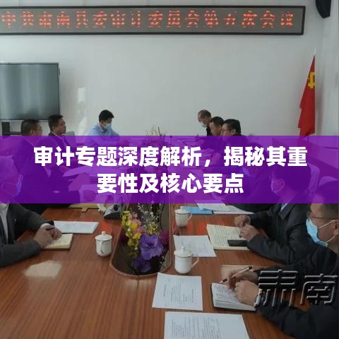 审计专题深度解析，揭秘其重要性及核心要点