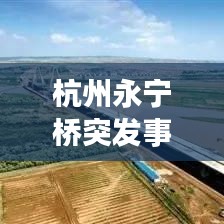 杭州永宁桥突发事故现场揭秘