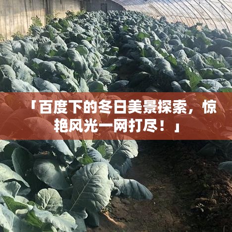 「百度下的冬日美景探索，惊艳风光一网打尽！」
