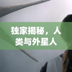 独家揭秘，人类与外星人的神秘交汇点，未知世界的探索之旅