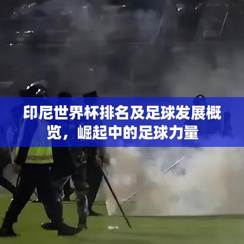 印尼世界杯排名及足球发展概览，崛起中的足球力量