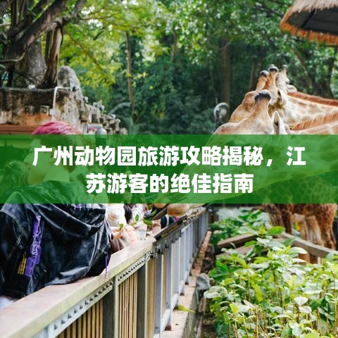广州动物园旅游攻略揭秘，江苏游客的绝佳指南