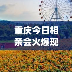 重庆今日相亲会火爆现场，最新消息抢先看！