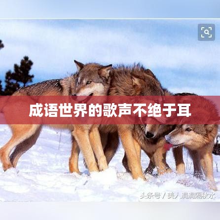成语世界的歌声不绝于耳