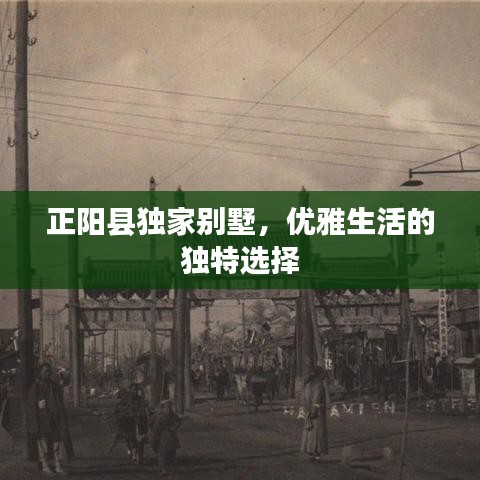 正阳县独家别墅，优雅生活的独特选择