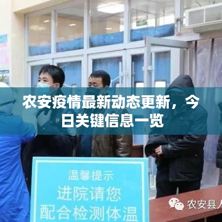 农安疫情最新动态更新，今日关键信息一览