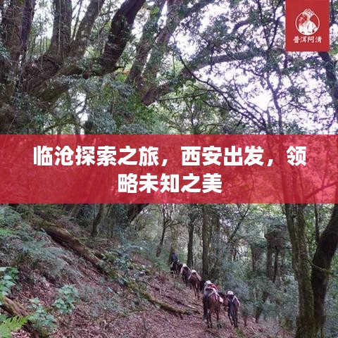 临沧探索之旅，西安出发，领略未知之美
