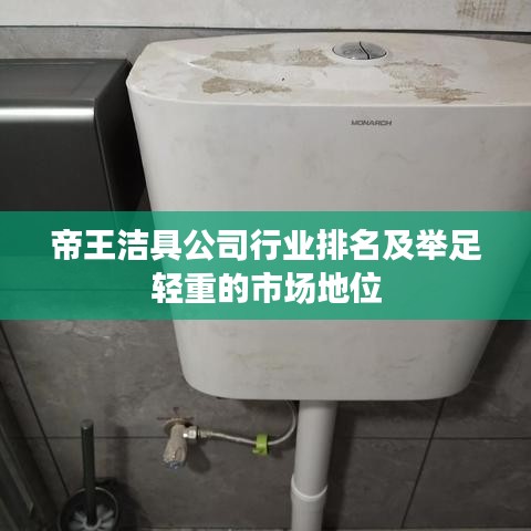 帝王洁具公司行业排名及举足轻重的市场地位