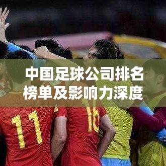 中国足球公司排名榜单及影响力深度解析