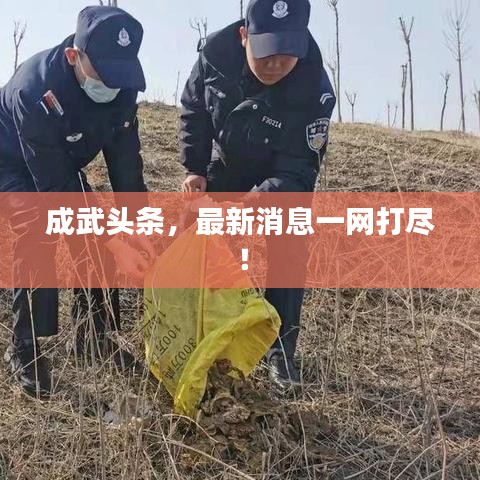 成武头条，最新消息一网打尽！