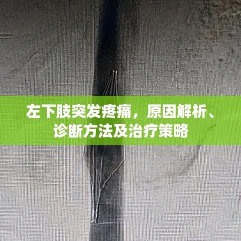 左下肢突发疼痛，原因解析、诊断方法及治疗策略
