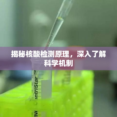 揭秘核酸检测原理，深入了解科学机制