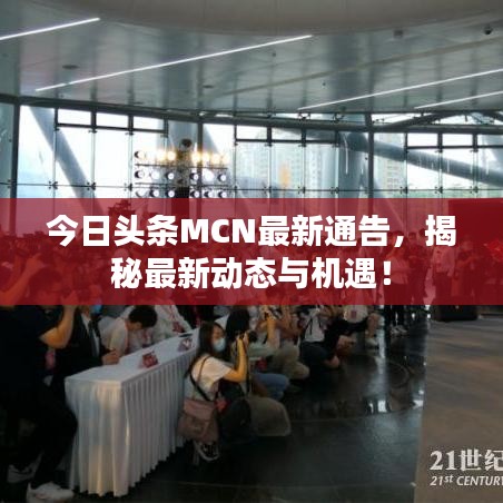 今日头条MCN最新通告，揭秘最新动态与机遇！