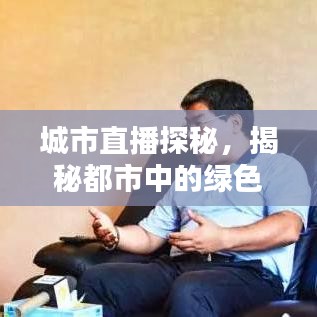 城市直播探秘，揭秘都市中的绿色独家村